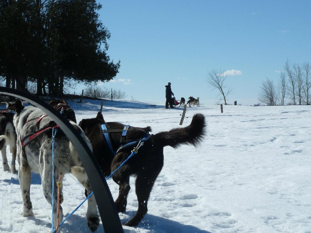 Les Aventures Liguoriennes-Saint-Liguori必去景点