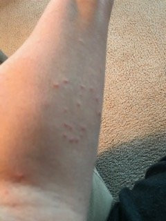 Baymont by Wyndham Sheridan主图