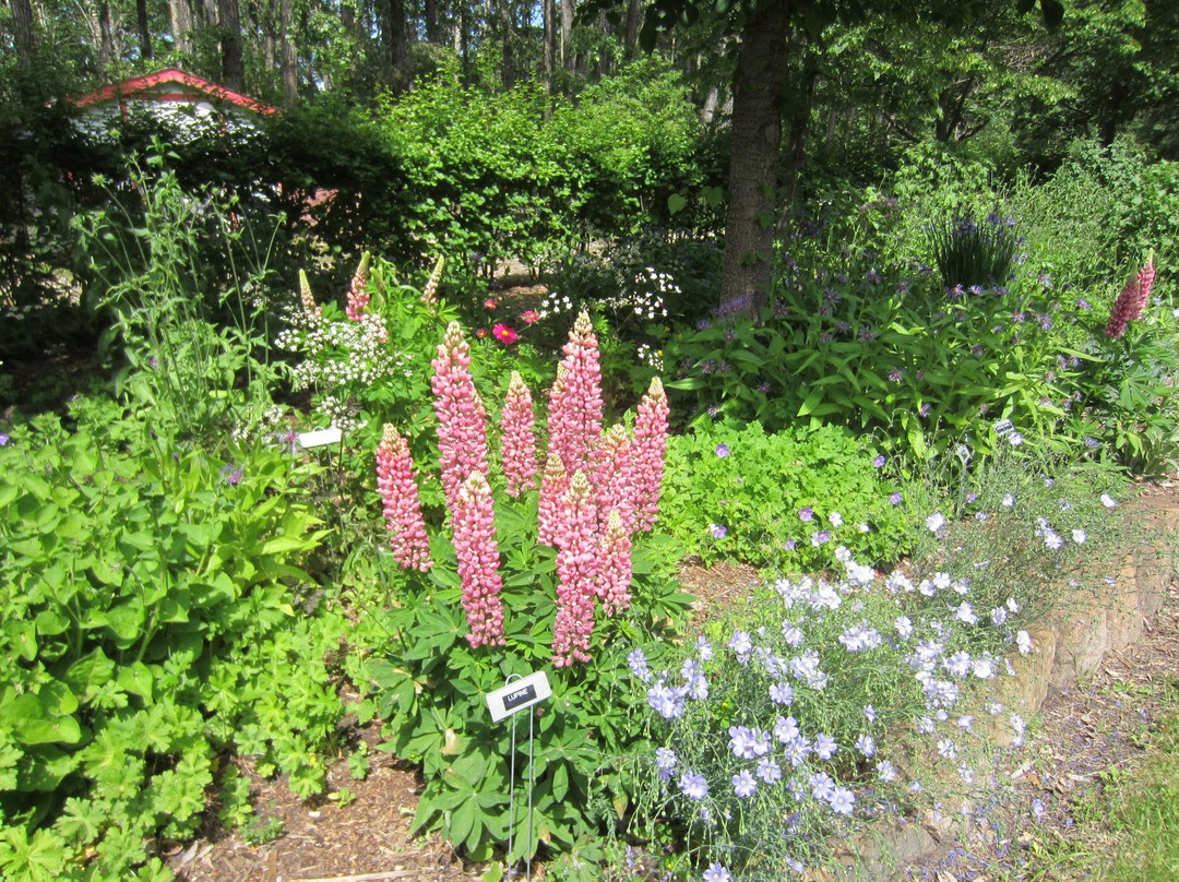 Danish Canadian National Museum-Spruce View必去景点