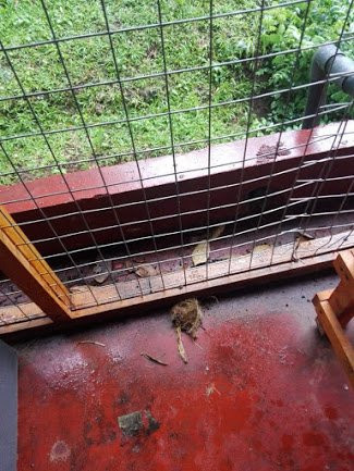 Linwood Bungalow主图