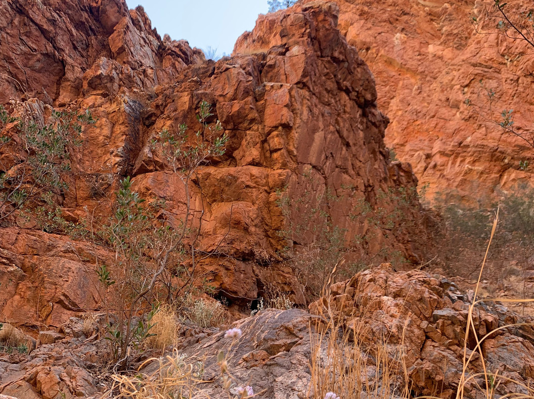 Sandrifter Safaris-爱丽斯泉必去景点