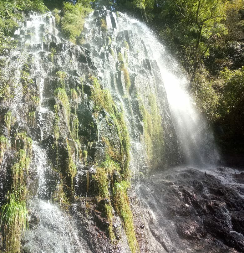 Tkhilnari Waterfall-巴统必去景点