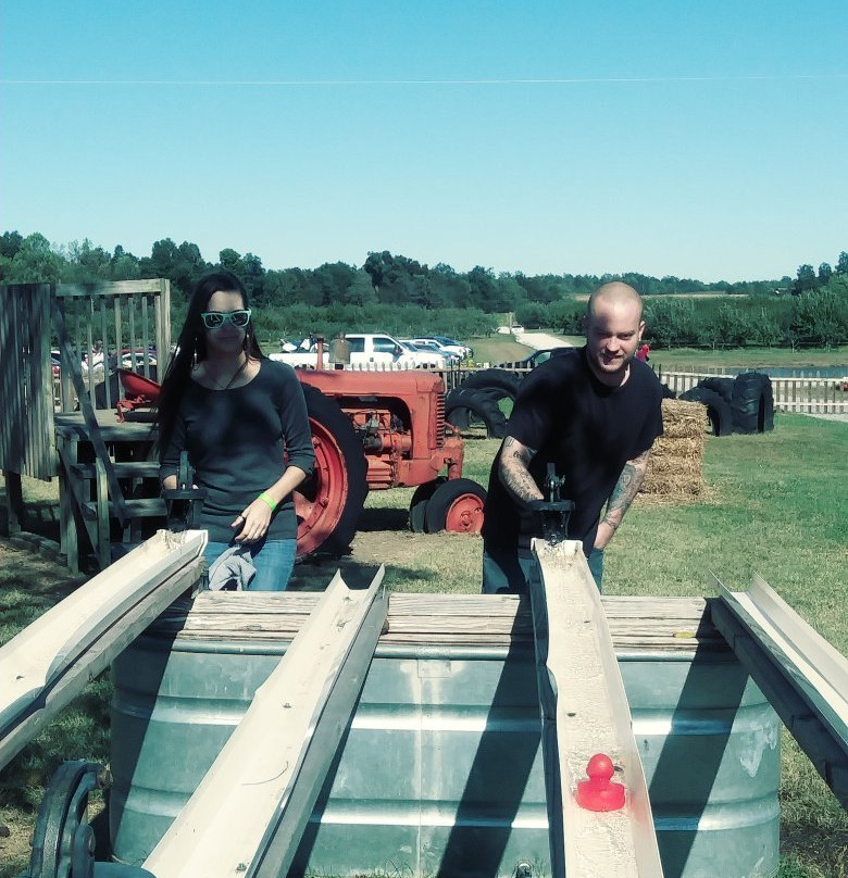 Hinton's Orchard & Farm Market景点图片