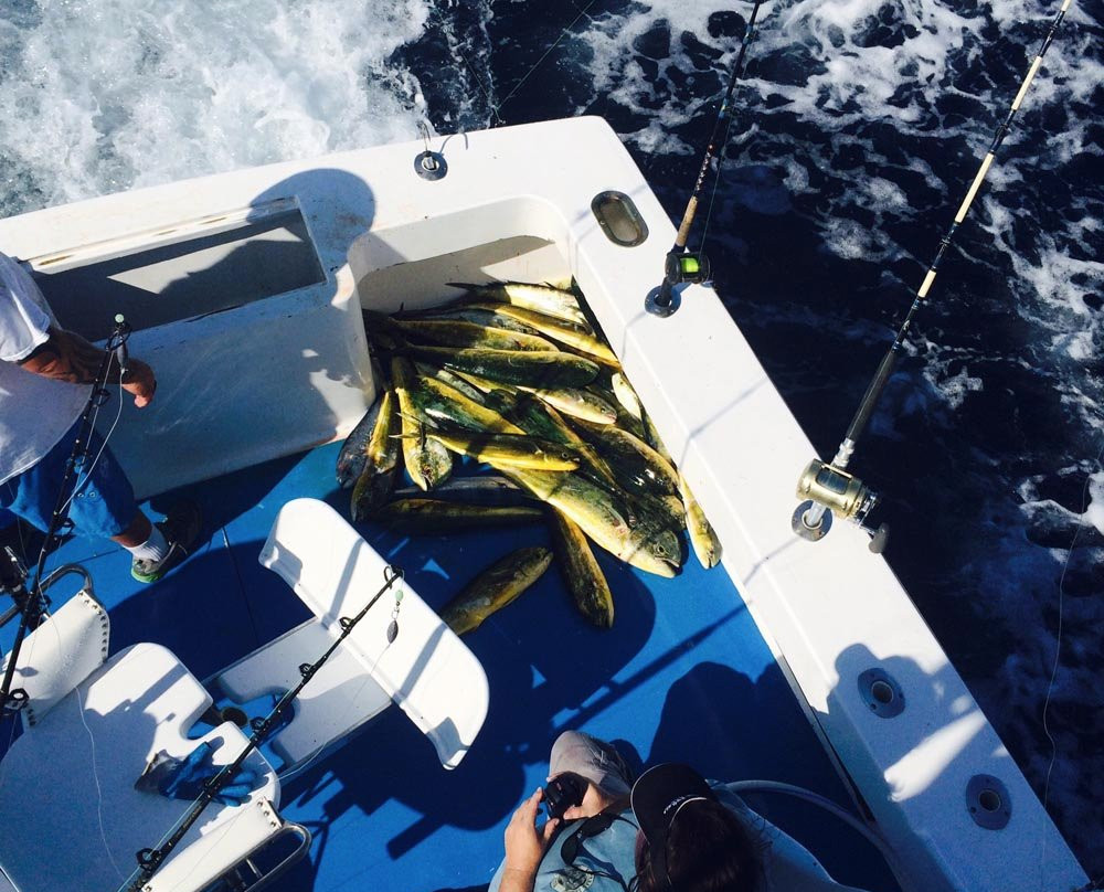 Seaducer Sportfishing Charters