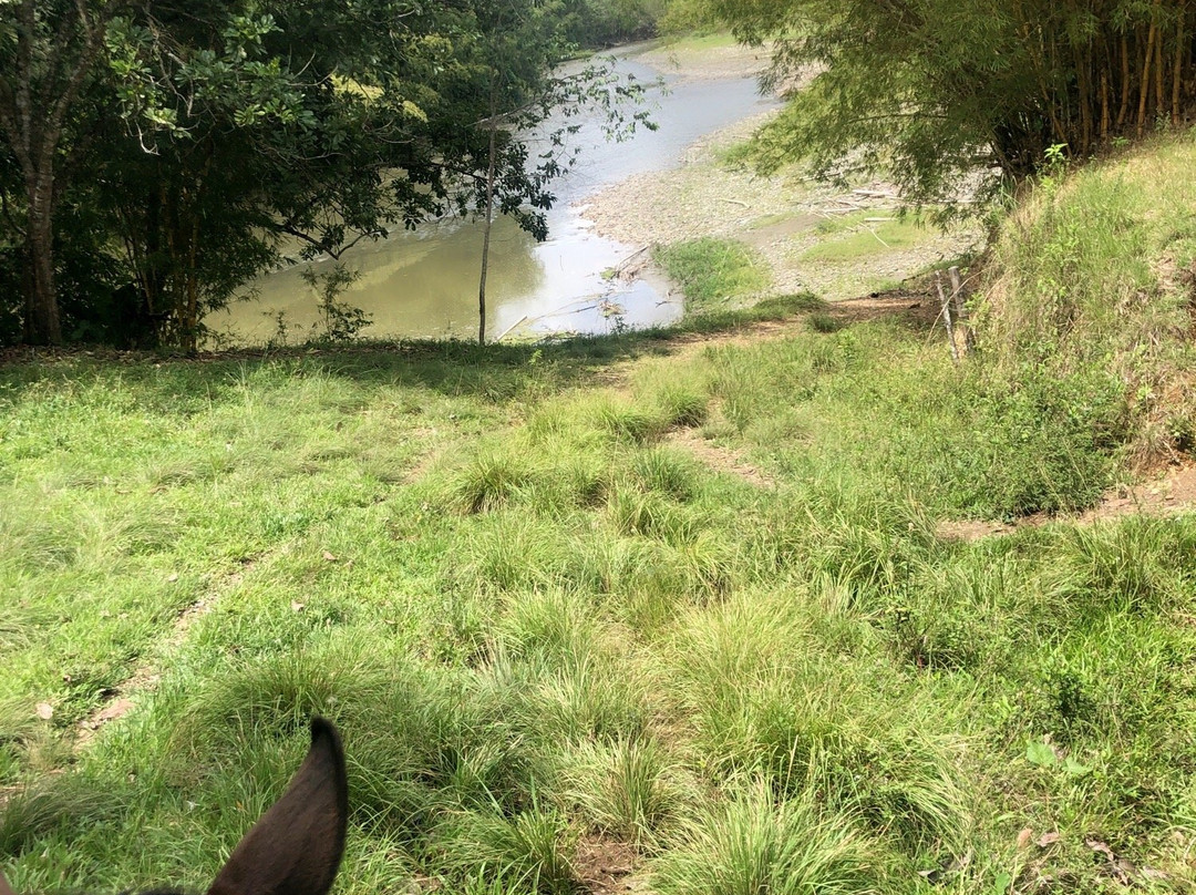 Cabalgatas El Carmelo-La Tebaida必去景点