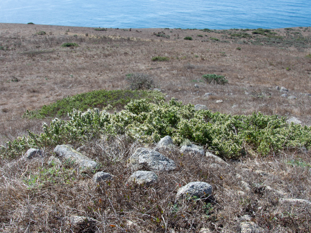 Tule Elk Preserve-Point Reyes National Seashore必去景点