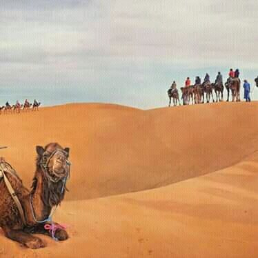 Merzouga Sahara Tours-梅如卡必去景点