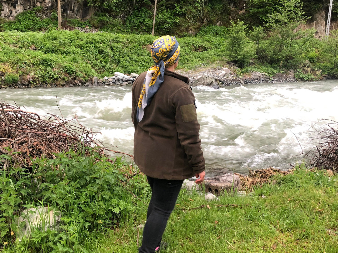 Rize Cancik Dag Evleri主图