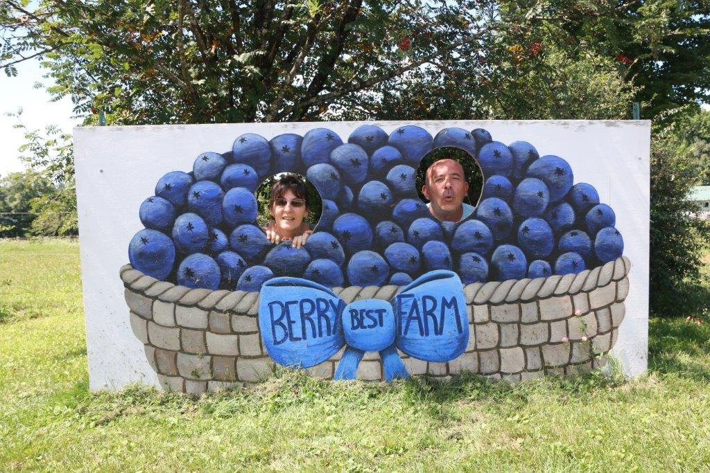 Berry Best Farm景点图片