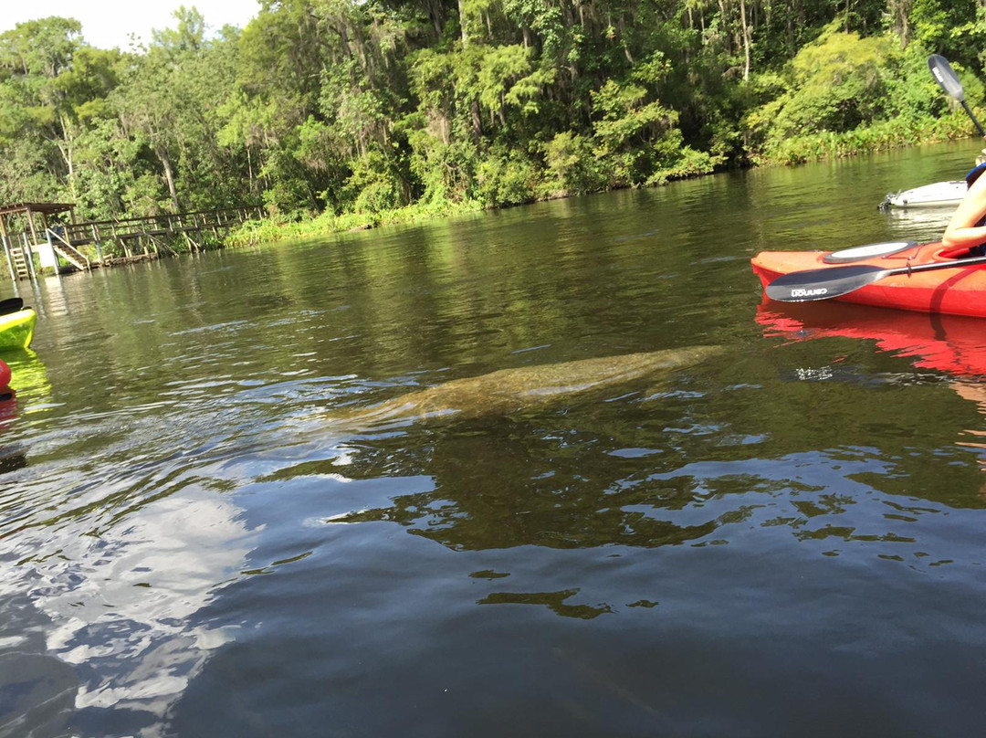 TNT Hideaway Day Tours