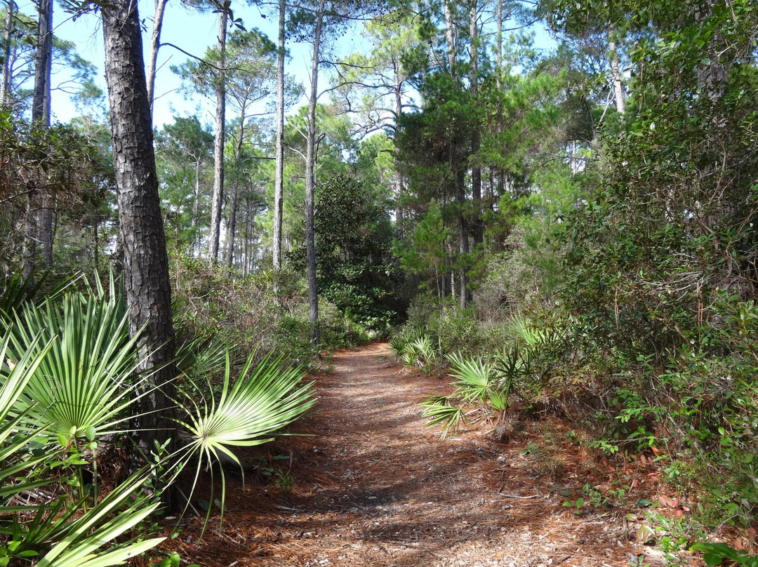 Mary Esther旅游景点-Oak Tree Nature Park