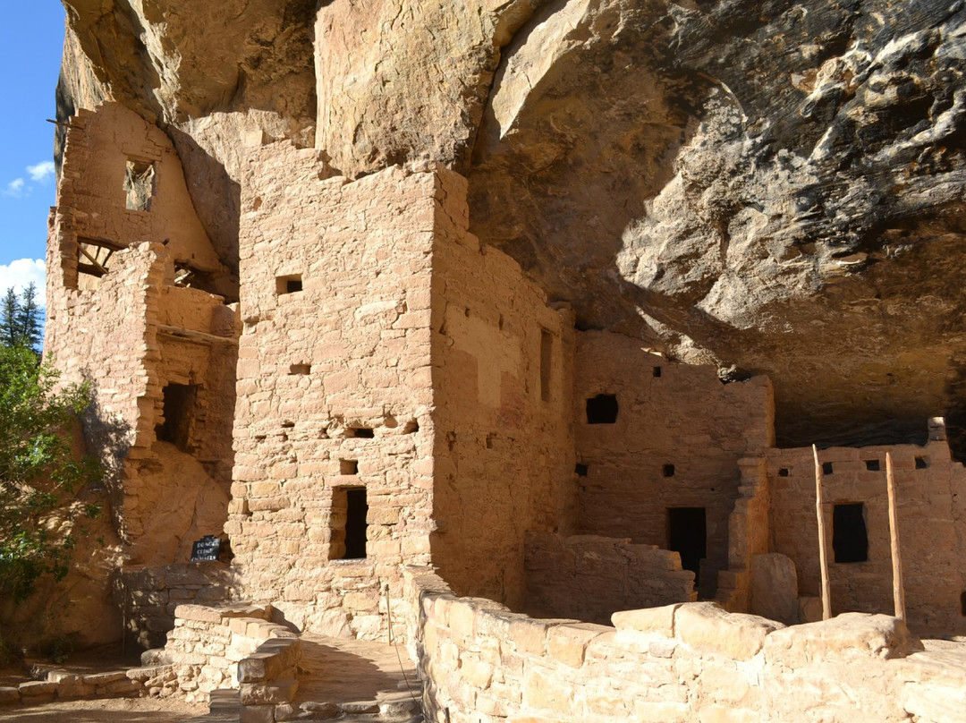 Spruce Tree House-梅萨维德国家公园必去景点