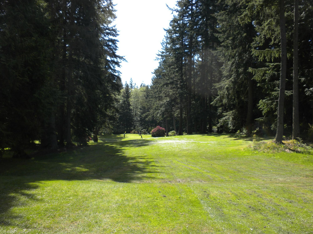 Island Greens Golf景点图片