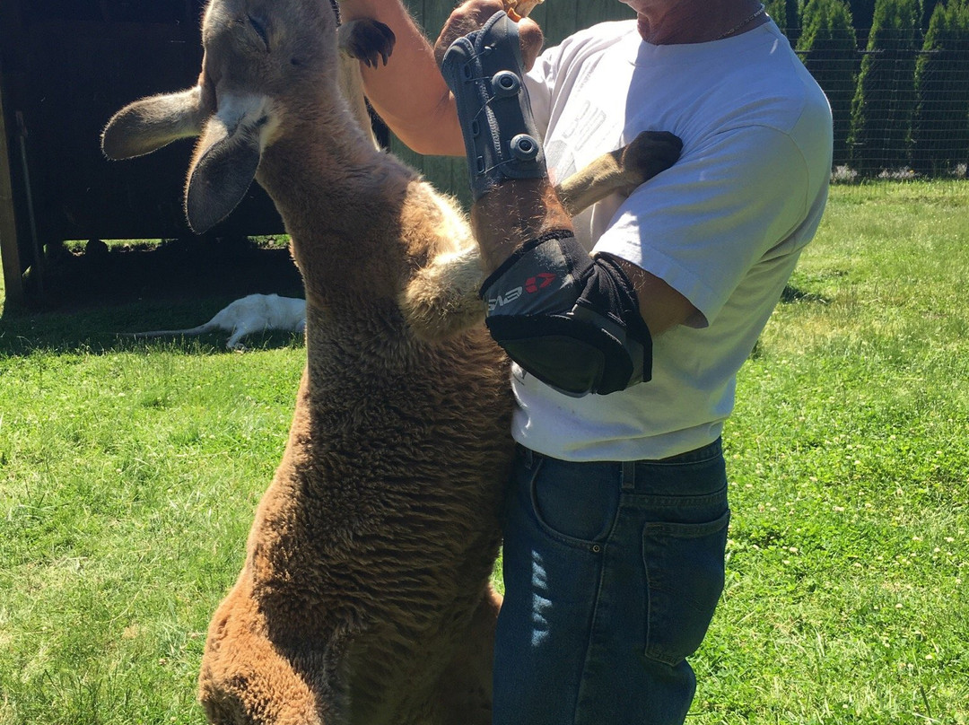 Fall City Wallaby Ranch景点图片