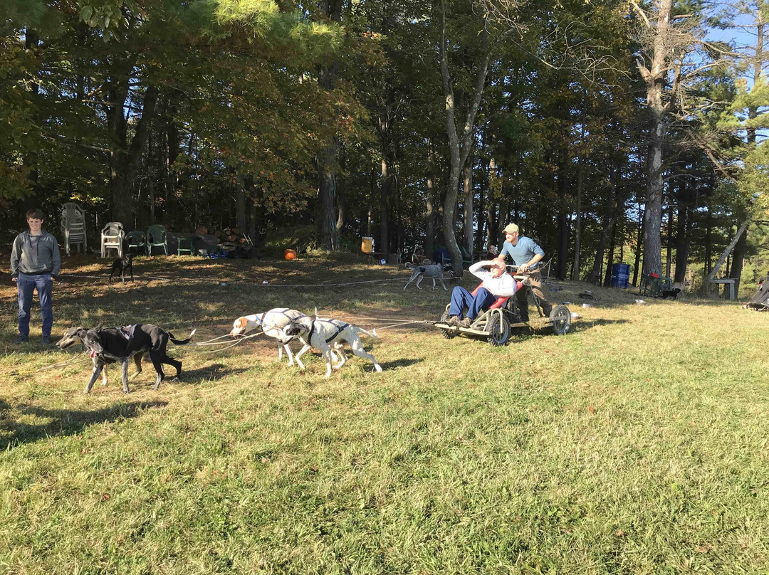 Cobble Hill Kennel-Middlebury必去景点