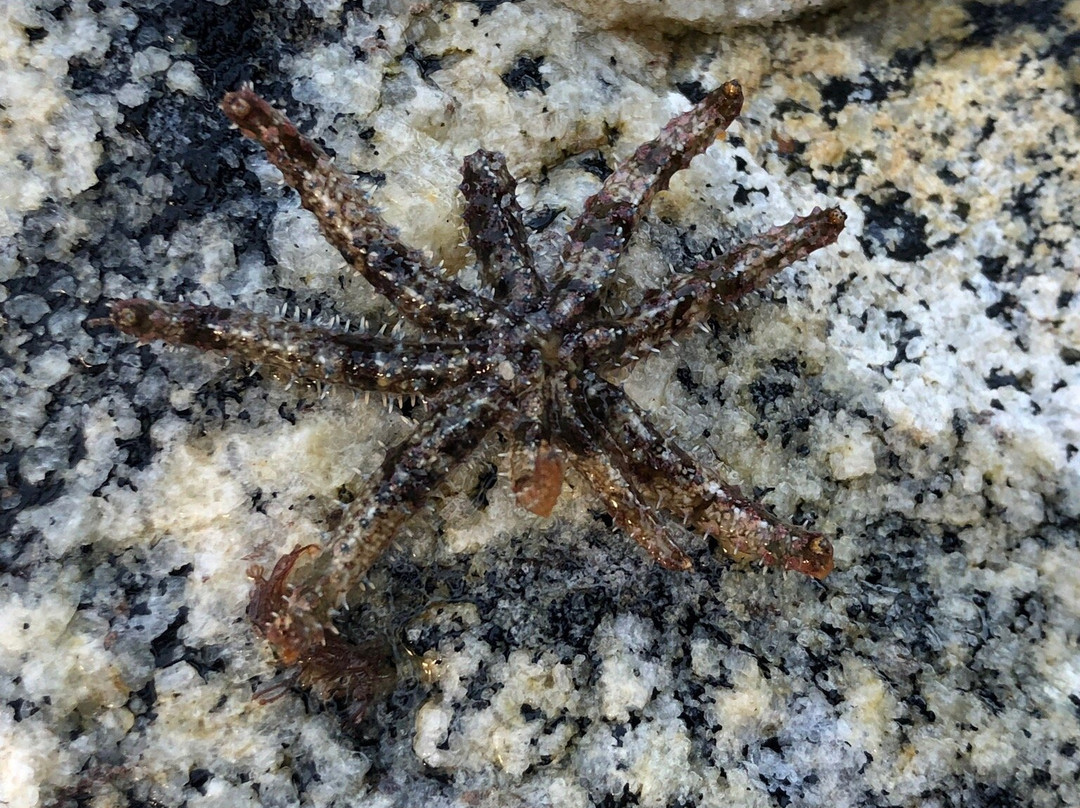 Augusta Boat Harbour-奥古斯塔必去景点