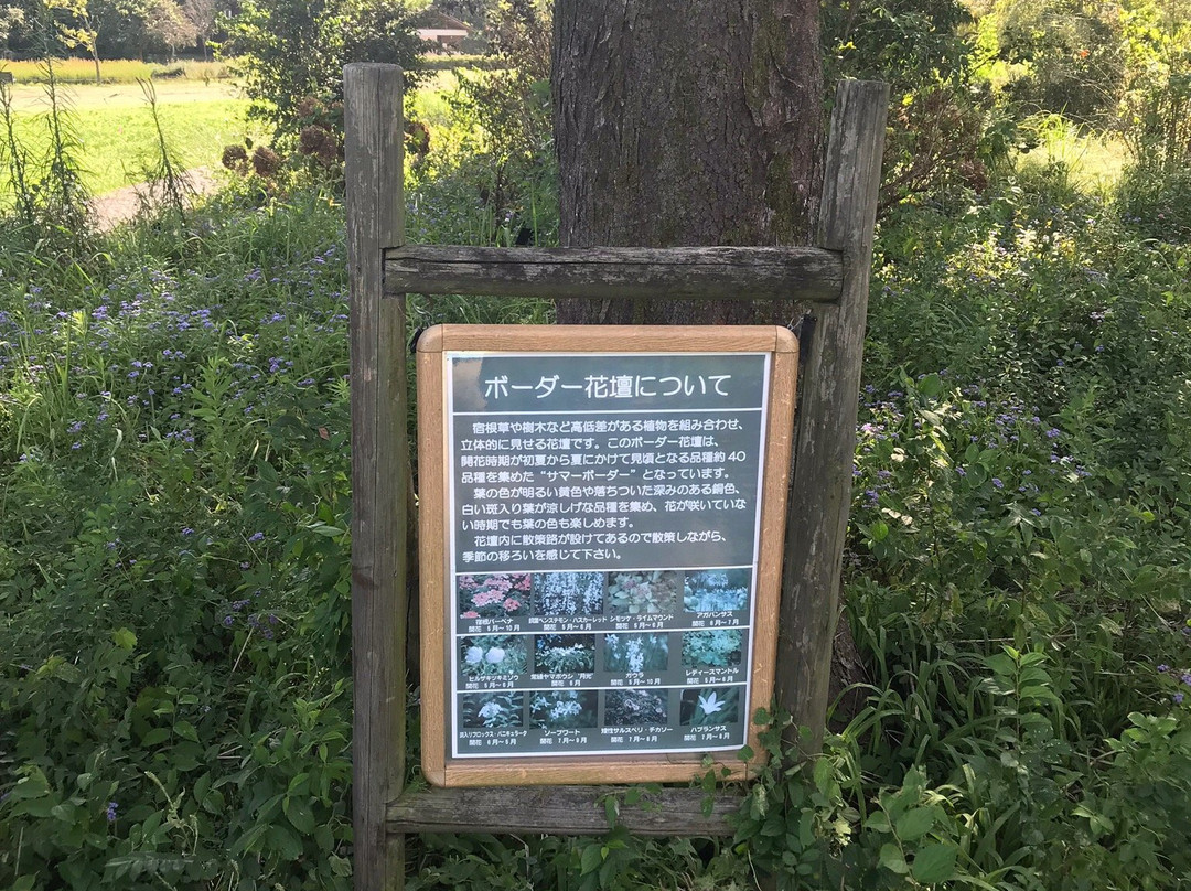 Flower Park Konan (Konan Kaki Engei Park)景点图片