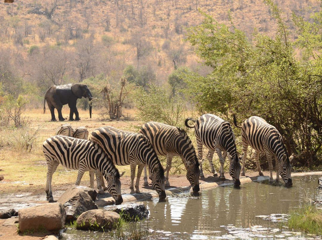 土瓜湾海滨小屋主图