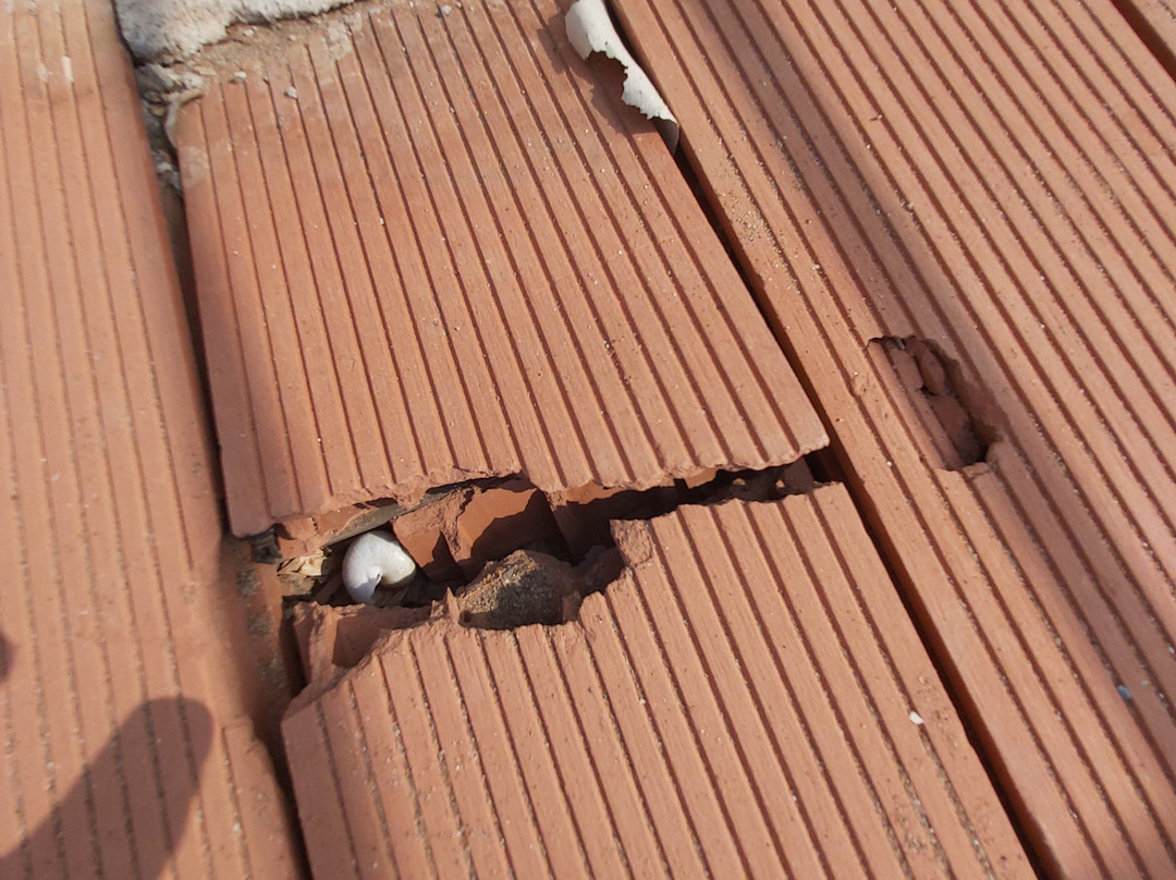 Ada Beach Hotel主图