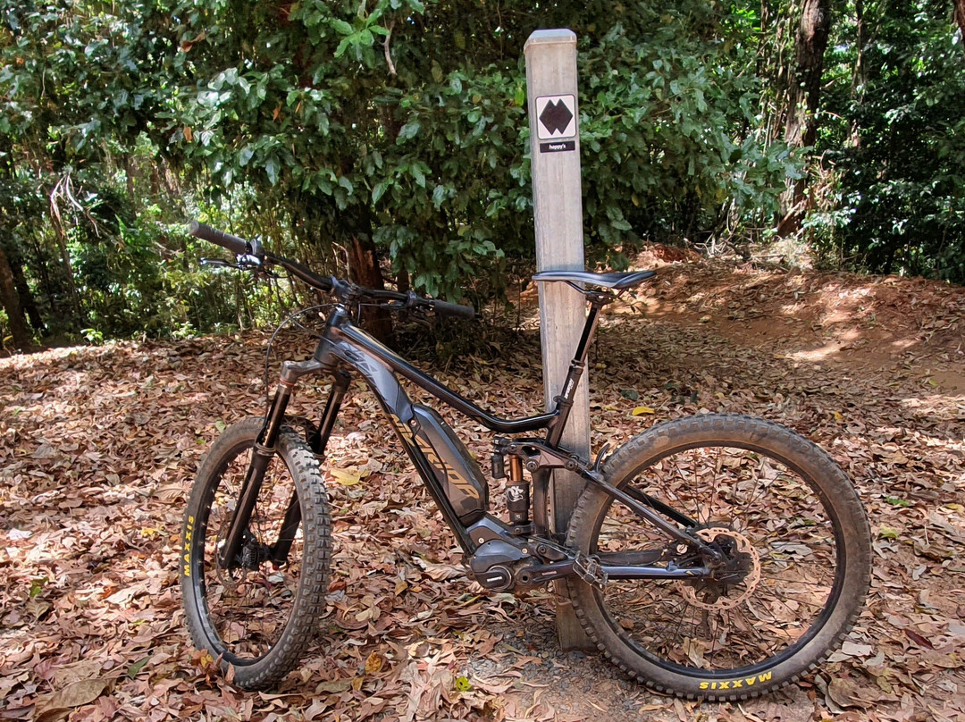 Cairns Mountain Bike Tours景点图片