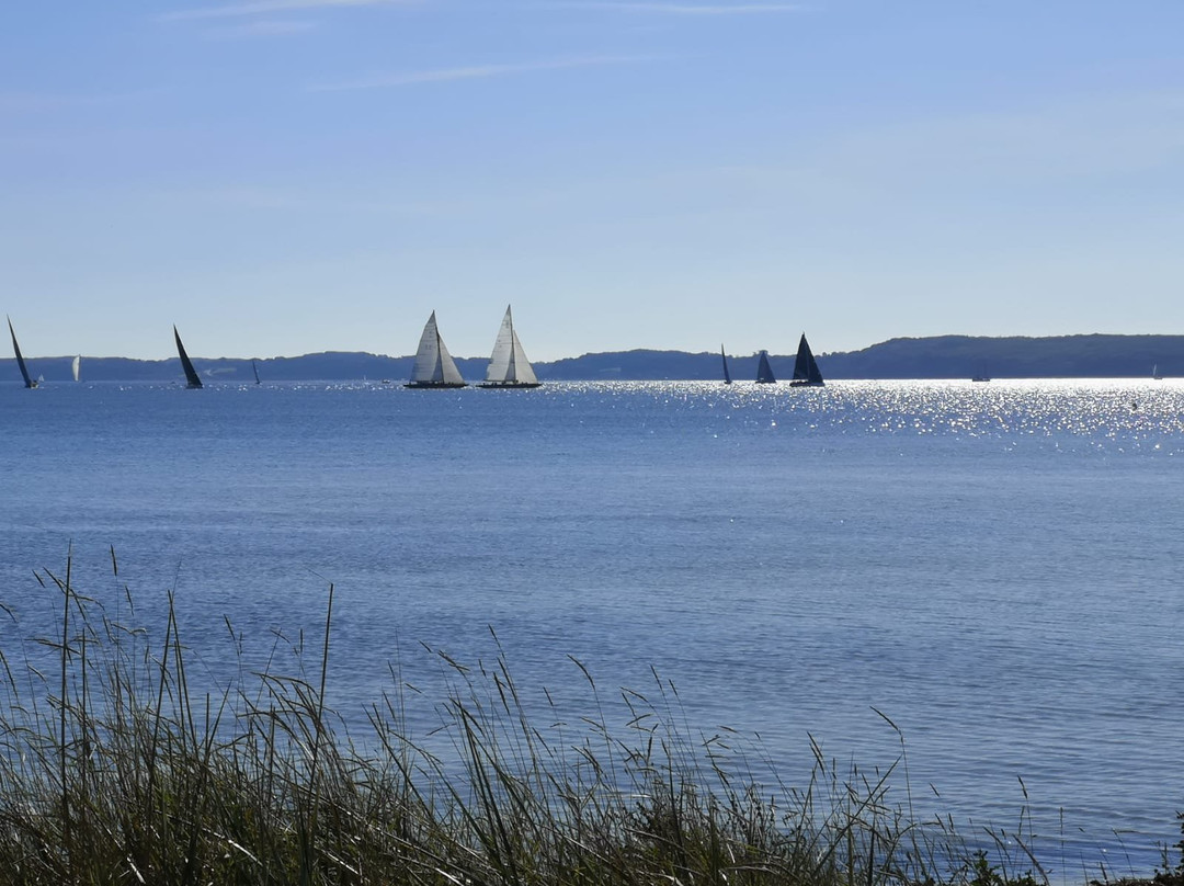 Ostsee Strandhaus Holnis主图