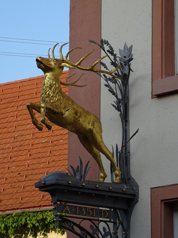 Landgasthof Hirschen Birndorf主图