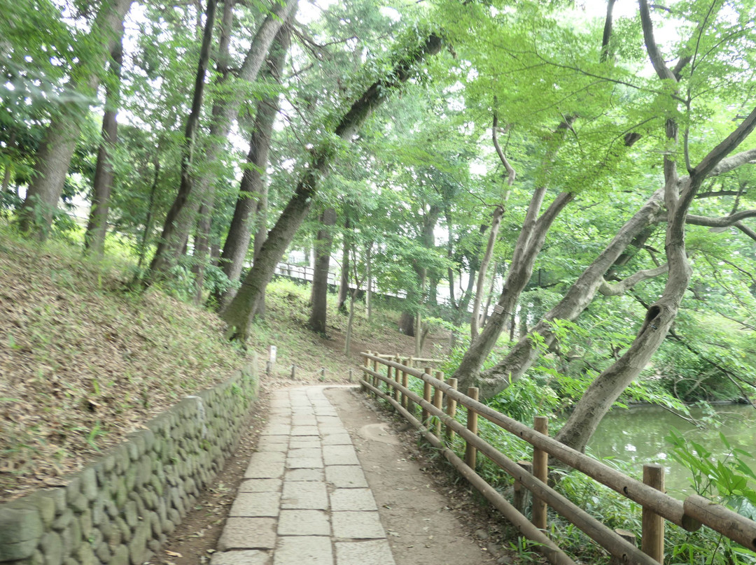 Zempukuji Park-杉并区必去景点