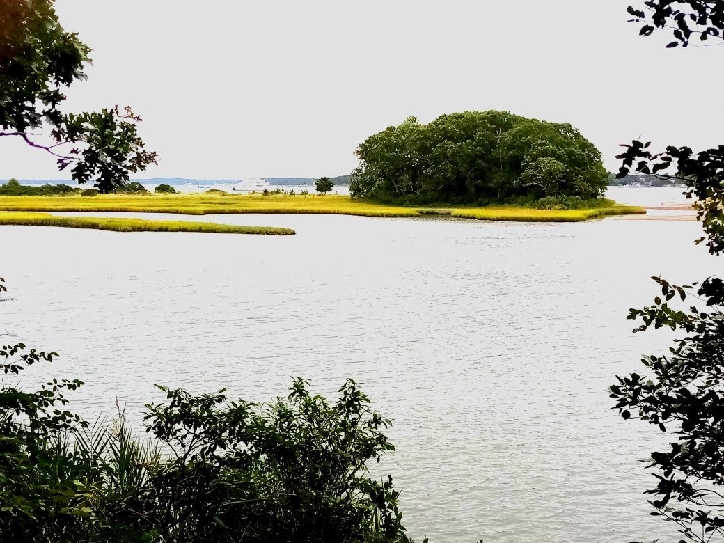 Mashomack Preserve-Shelter Island必去景点