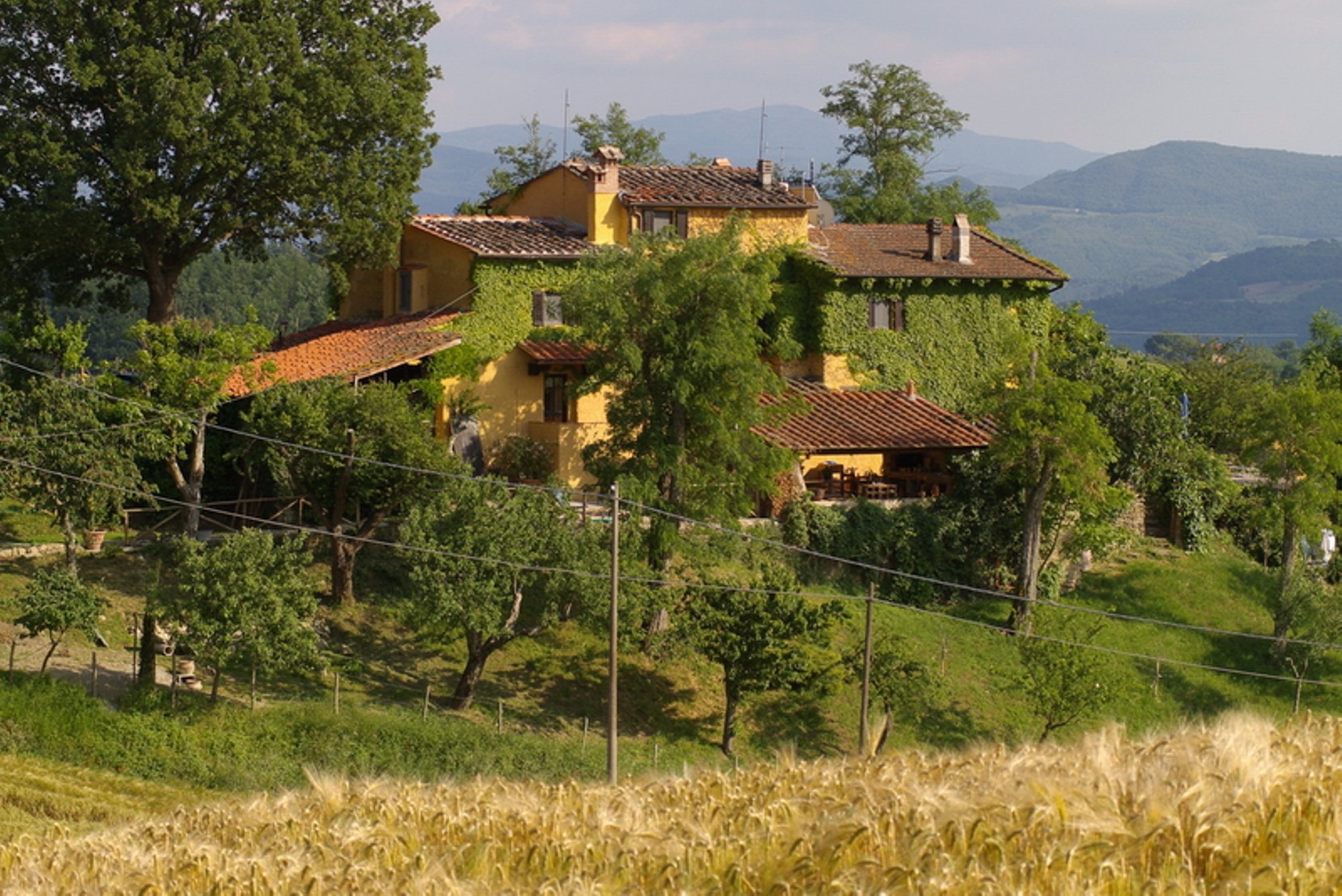 B&b Le Due Volpi-官方