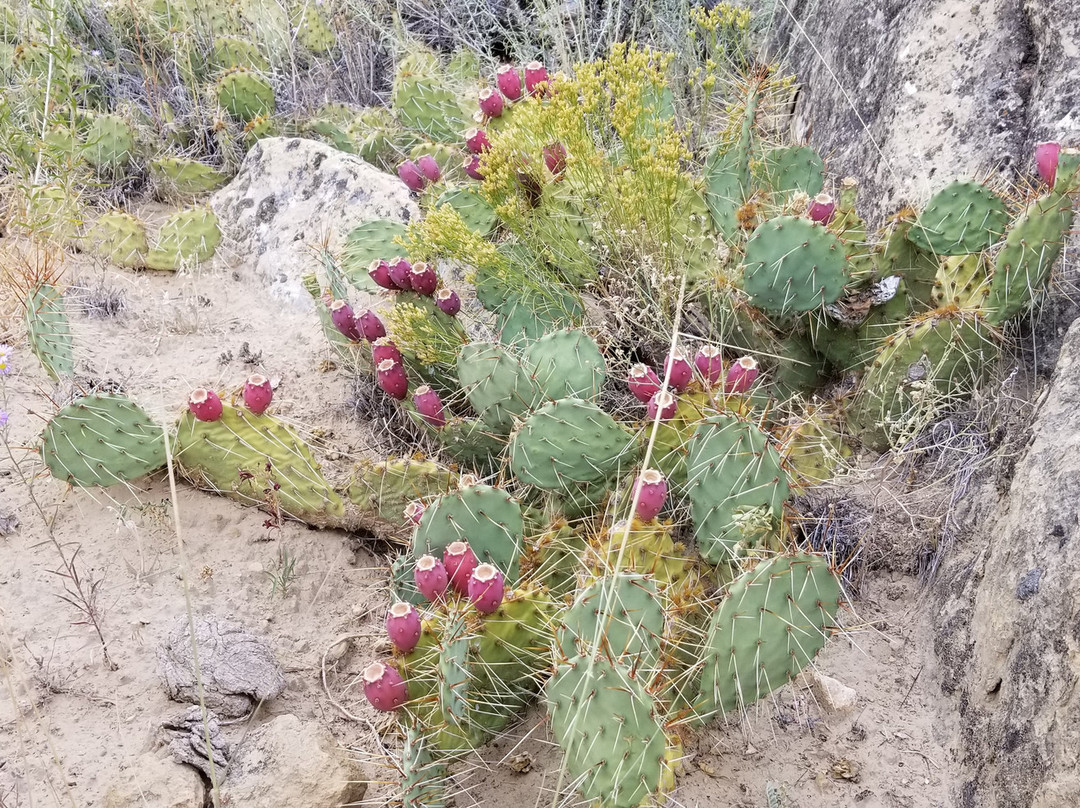 Slot Canyons Inn主图