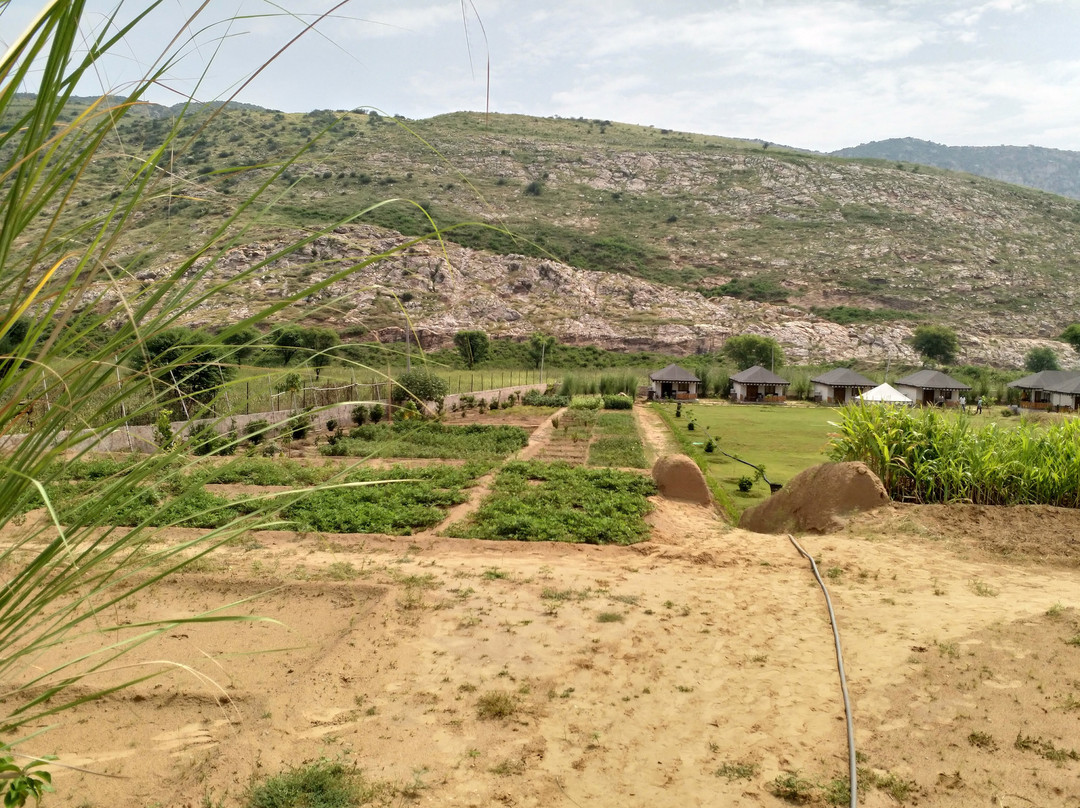 The Sariska Retreat主图