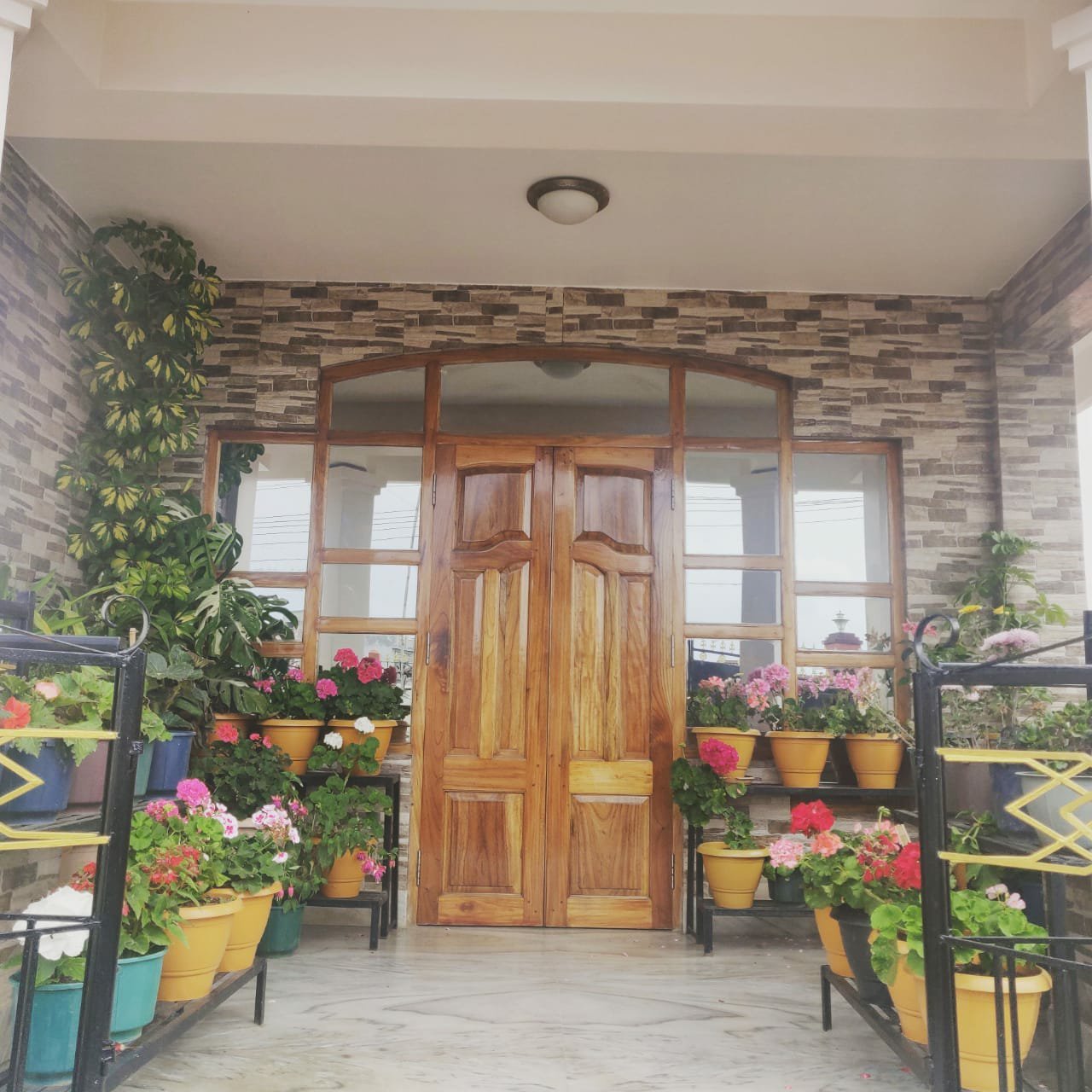 Pine Hill Homestay-官方