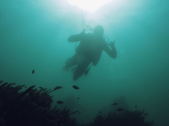 Dive Club Cipreia-塞新布拉必去景点