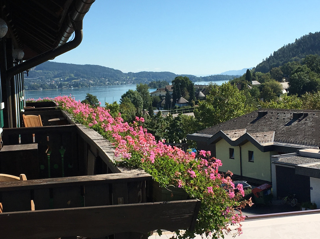 The Original FX Mayr主图