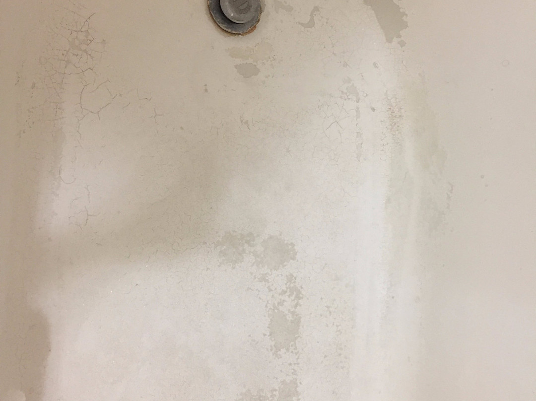 贝斯特韦斯特阿拉莫萨酒店主图