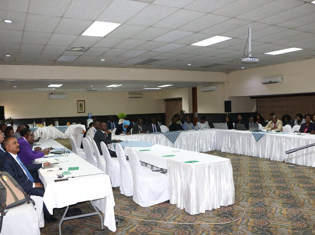 Sunbird Lilongwe主图