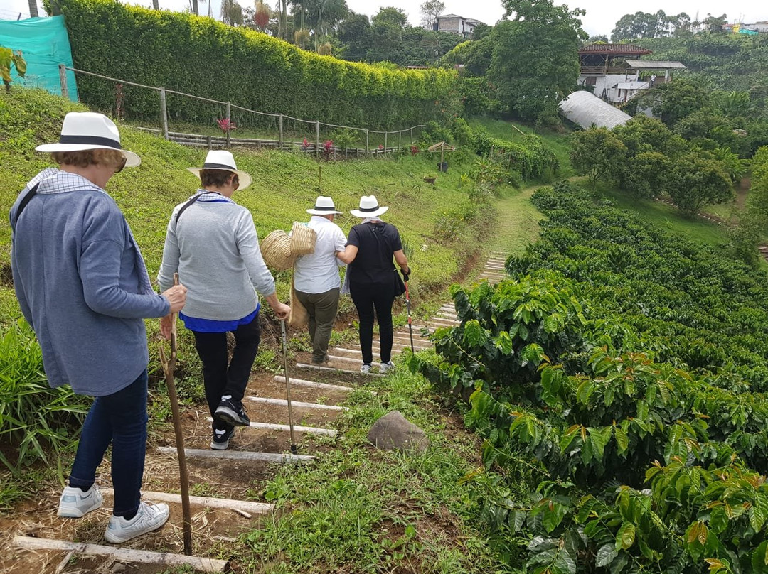 Nature Trips Colombia景点图片
