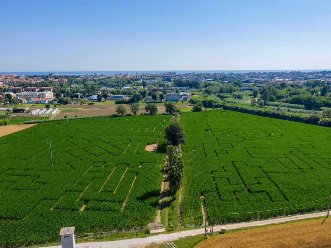 Labirinto di HORT