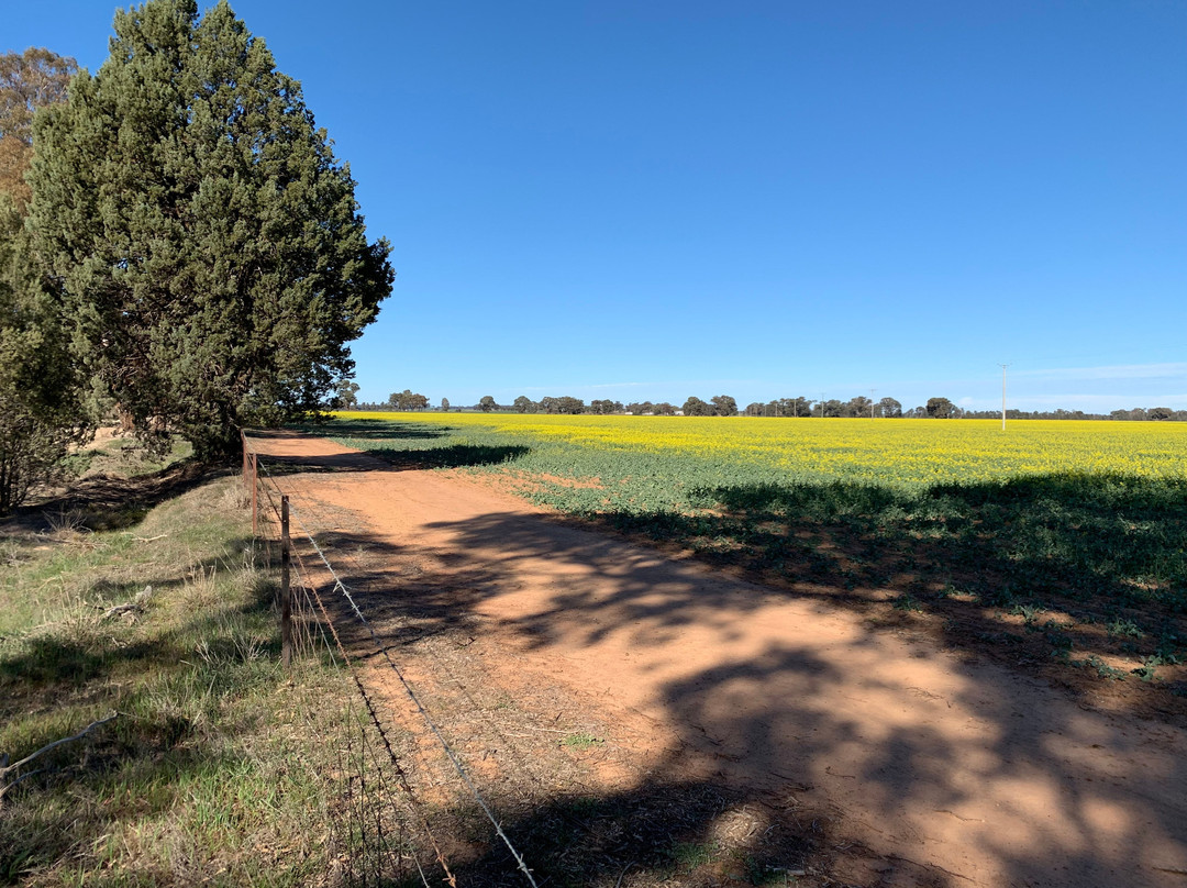Country Carriage Bed & Breakfast主图
