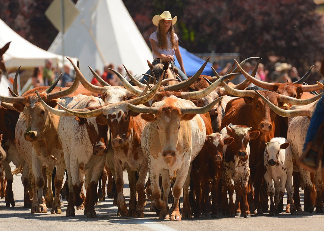 Savage Point Bed & Breakfast主图