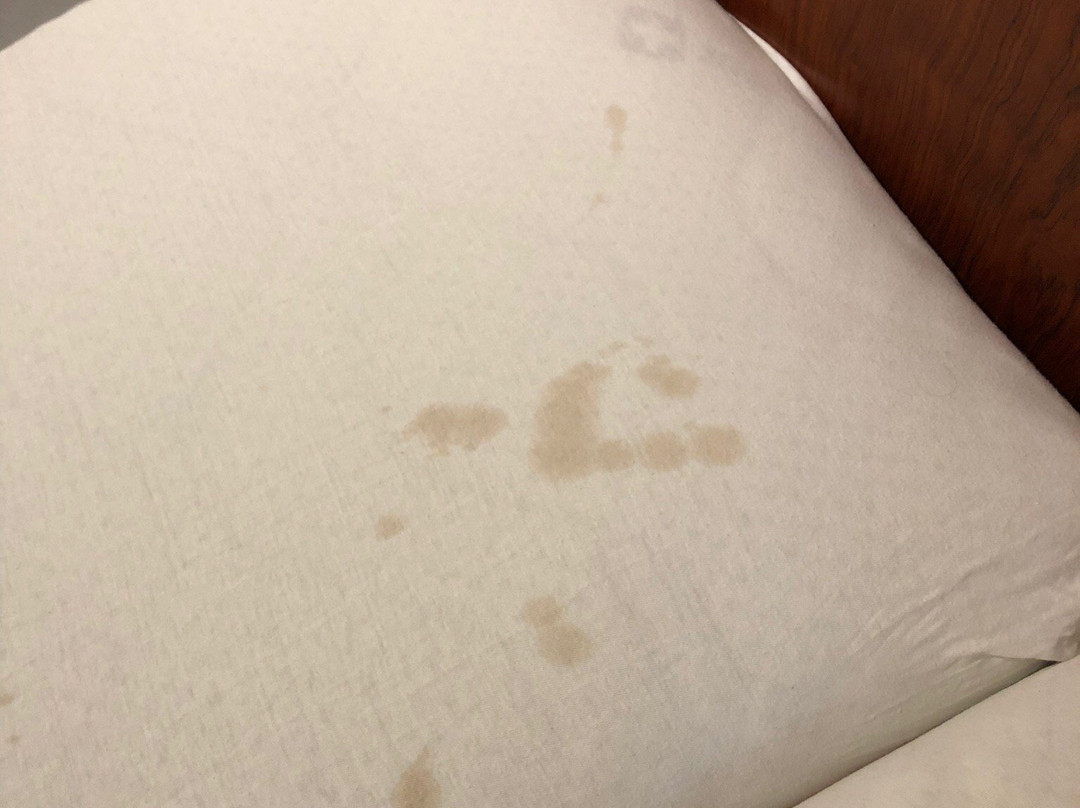 Hotel Wacker Betriebs GmbH主图