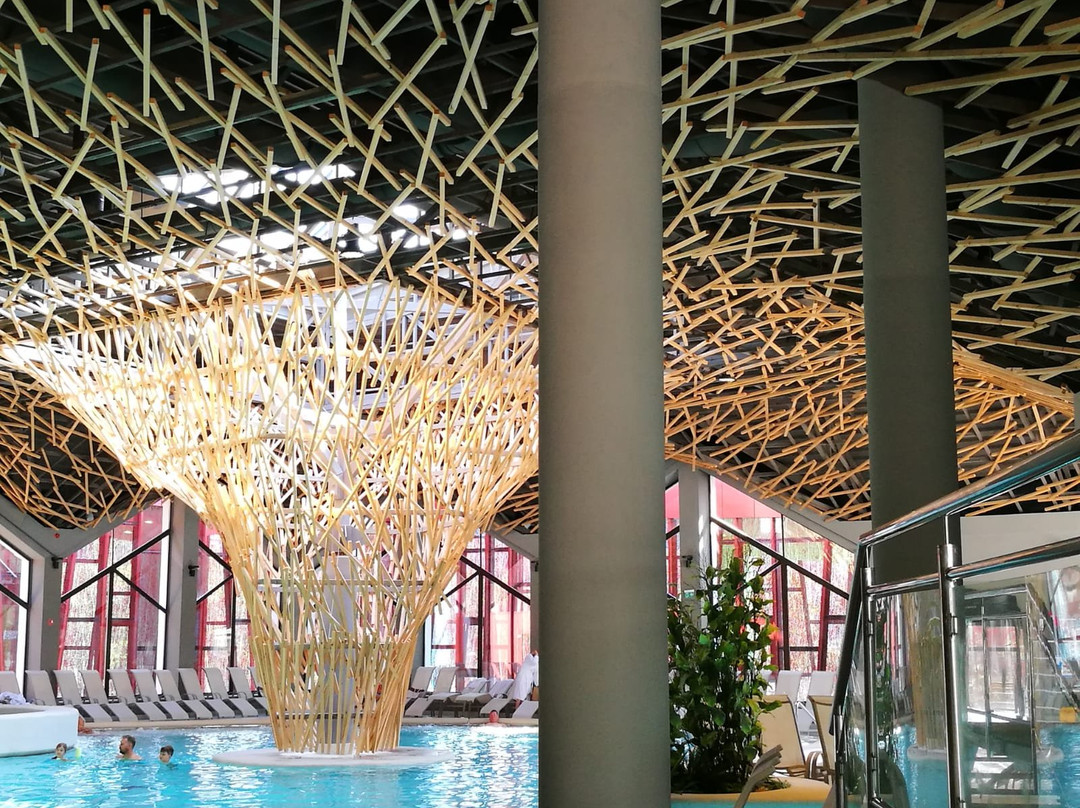 Hotel Breza主图
