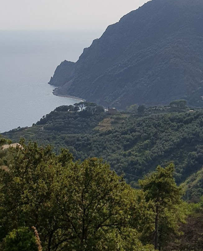 Santuario di Soviore景点图片