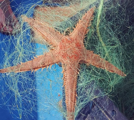 Pescaturismo Baronessa-拉斯佩齐亚必去景点