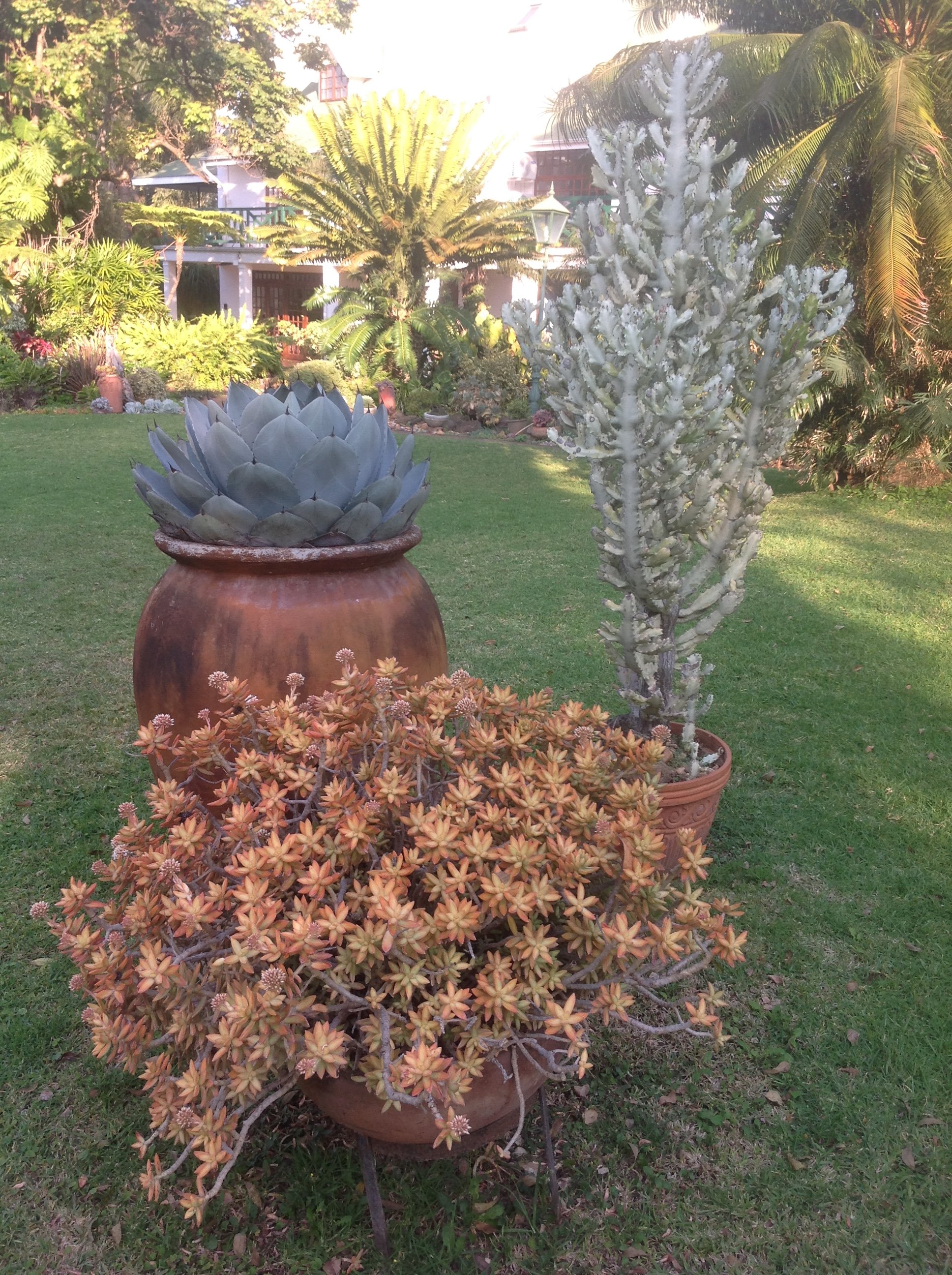 Cuckoo's Nest Guest House-浴室