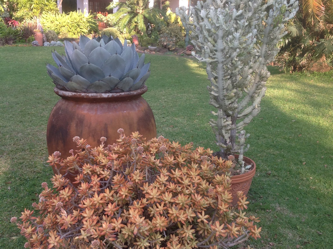 Cuckoo's Nest Guest House主图