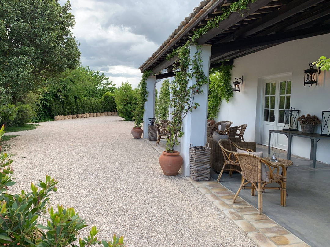 La Casa del Gelso主图