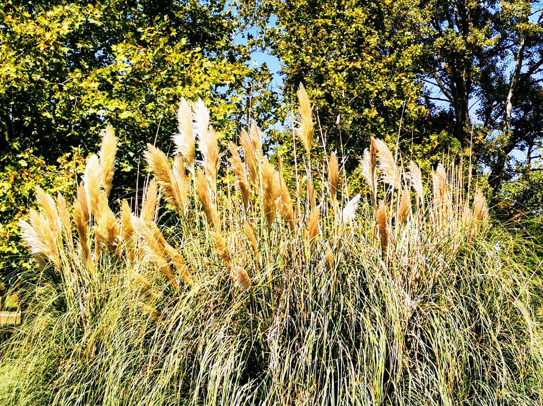 Park of Loutra Ipatis-Loutra Ipatis必去景点