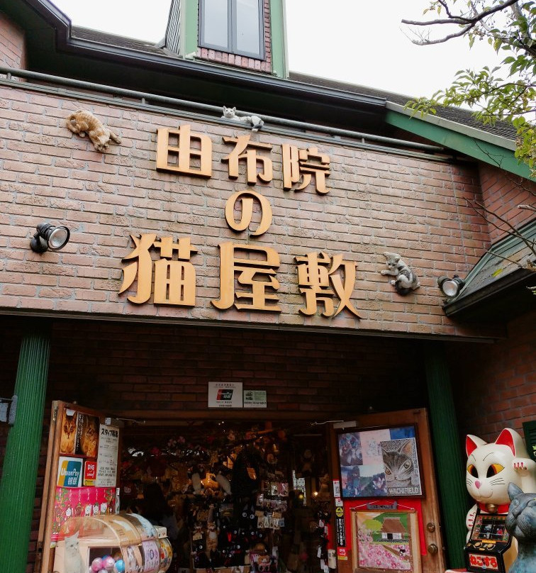 Yufuin no Nekoyashiki-由布市必去景点