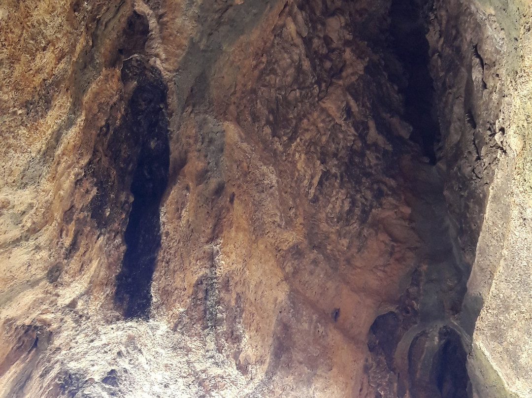 Cuevas de San Bartolome景点图片
